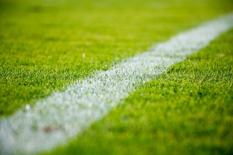 Professional women's football pitch